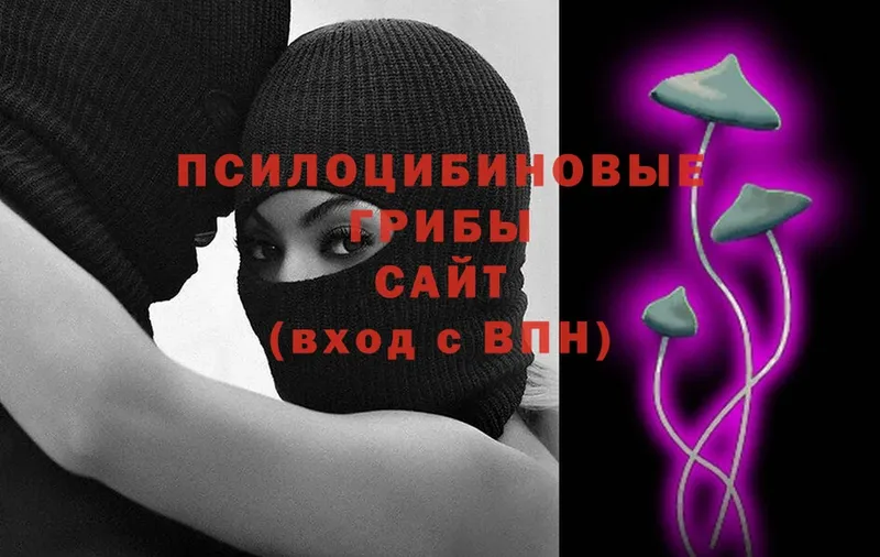 hydra зеркало  Грязовец  Галлюциногенные грибы Psilocybe 